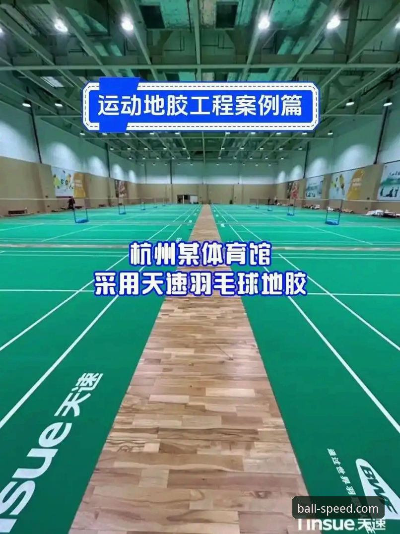 揭秘球速体育登录教程常见问题背后的解决思路
