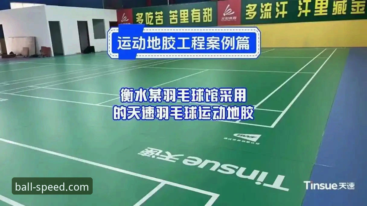 球速体育下载 球速体育平台功能全面解析:从下载体验到数据追踪的实用指南